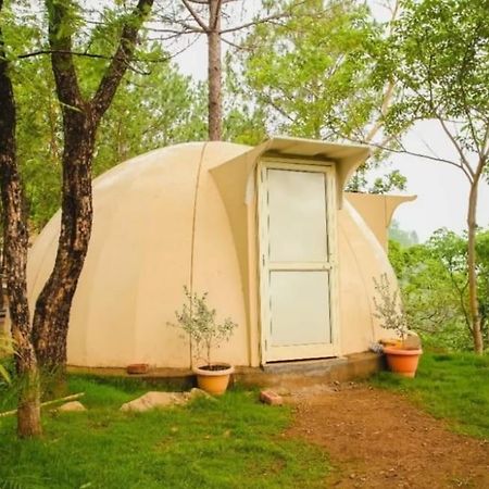 Jusgar Resort And Hote Dogadda Exterior foto